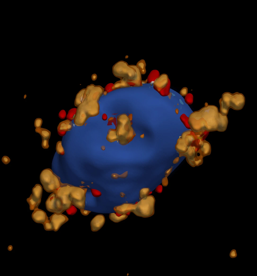Calcium-mobilised orchestration of Rab GTPases at vesicular intracellular compartments