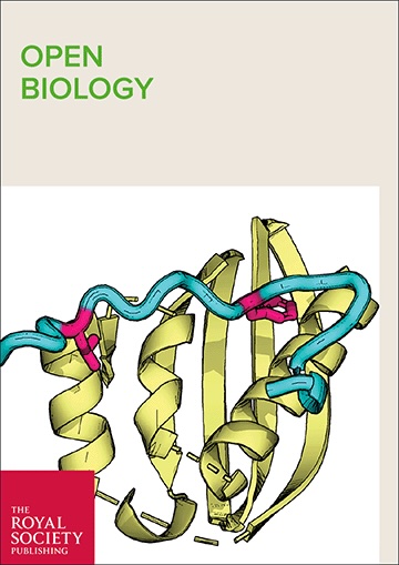 Correlative super-resolution analysis of cardiac calcium sparks and their molecular origins in health and disease