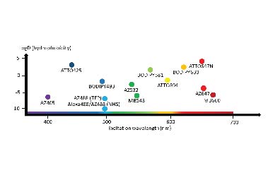 Characterising a palette of directly applied fluorescent-ester dyes for expansion microscopy