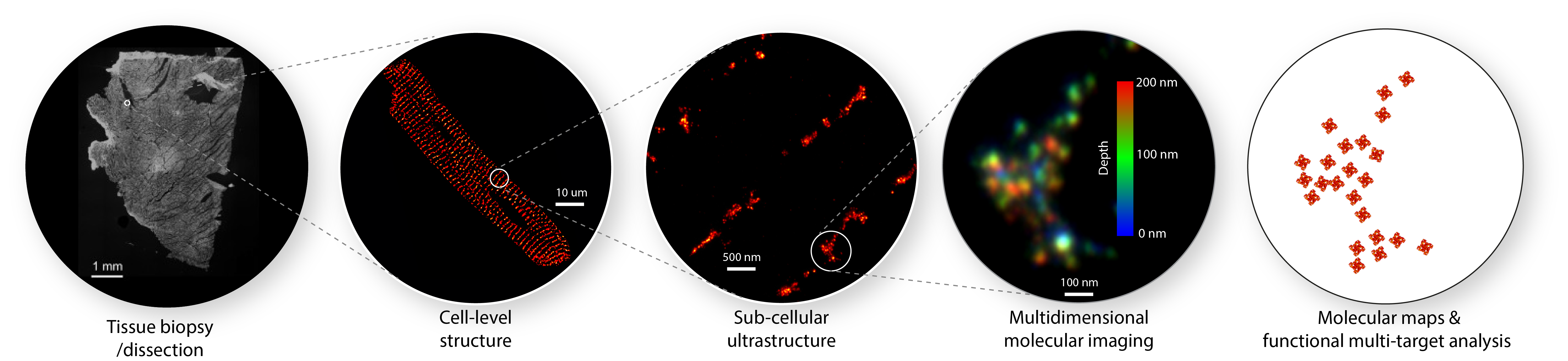 figure image